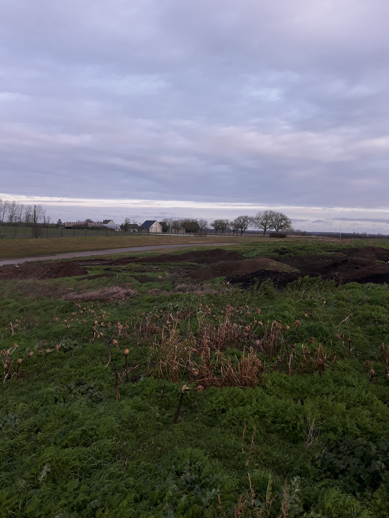 Parc solaire de Vernusse